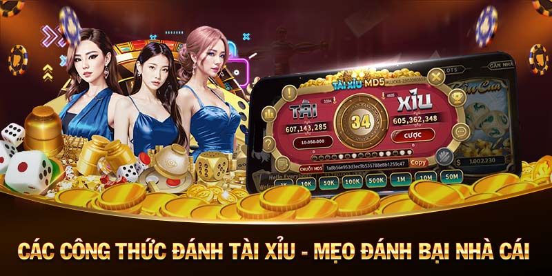 xoaitv-Chinh phục sòng bạc trực tuyến và giành chiến thắng!